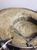 ImageUploadedByHome Brew1395599958.494954.jpg