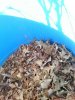 20140331_174710-picsay.jpg