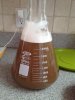 ImageUploadedByHome Brew1397142107.238702.jpg