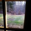 ImageUploadedByHome Brew1397155452.736324.jpg