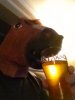 ImageUploadedByHome Brew1397585779.389238.jpg