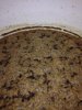 ImageUploadedByHome Brew1398690462.142501.jpg ImageUploadedByHome Brew1398690462.142501.jpg