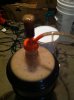 ImageUploadedByHome Brew1399135847.713302.jpg