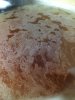 ImageUploadedByHome Brew1399570601.313392.jpg