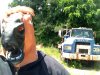 IMG_7184.JPG