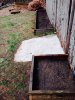 ImageUploadedByHome Brew1399909001.187515.jpg
