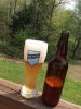 ImageUploadedByHome Brew1400077157.432669.jpg