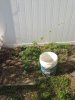 ImageUploadedByHome Brew1400523426.433483.jpg