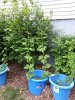 20140520_173239.jpg