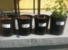ImageUploadedByHome Brew1400653327.408161.jpg