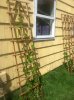 ImageUploadedByHome Brew1400653432.930642.jpg