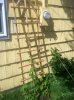 ImageUploadedByHome Brew1400653742.273505.jpg