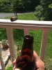 ImageUploadedByHome Brew1401473709.391243.jpg