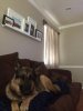 ImageUploadedByHome Brew1401852579.571175.jpg