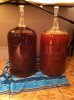 ImageUploadedByHome Brew1403411137.059106.jpg
