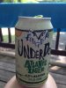 ImageUploadedByHome Brew1404159211.168946.jpg
