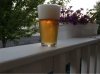 ImageUploadedByHome Brew1404182153.665772.jpg