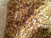 ImageUploadedByHome Brew1404527035.800855.jpg