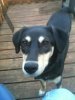ImageUploadedByHome Brew1404530552.554451.jpg