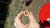 Cork hole.jpg
