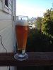 ImageUploadedByHome Brew1404958553.953361.jpg