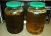 ImageUploadedByHome Brew1405126308.098762.jpg