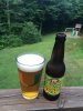 ImageUploadedByHome Brew1405290547.319477.jpg