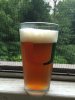ImageUploadedByHome Brew1405373109.343392.jpg