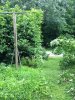 ImageUploadedByHome Brew1405457252.139035.jpg