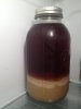 ImageUploadedByHome Brew1405475130.319265.jpg