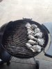 ImageUploadedByHome Brew1405541942.152240.jpg