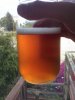 ImageUploadedByHome Brew1405562803.826208.jpg