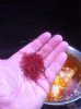 ImageUploadedByHome Brew1405775185.023263.jpg