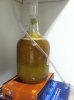 ImageUploadedByHome Brew1406469106.988705.jpg