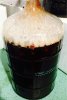 ImageUploadedByHome Brew1406598584.159488.jpg
