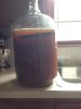 ImageUploadedByHome Brew1406739318.446061.jpg