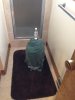 ImageUploadedByHome Brew1406739631.803080.jpg