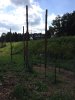 ImageUploadedByHome Brew1406894216.896999.jpg