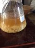 ImageUploadedByHome Brew1406935162.334791.jpg