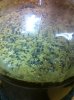ImageUploadedByHome Brew1407007888.817680.jpg
