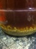 ImageUploadedByHome Brew1407007916.434483.jpg