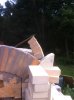 ImageUploadedByHome Brew1407190247.772162.jpg