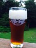 ImageUploadedByHome Brew1407368659.417902.jpg