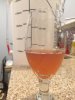 ImageUploadedByHome Brew1407371070.585276.jpg