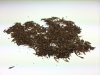 ImageUploadedByHome Brew1407600531.503974.jpg