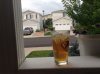 ImageUploadedByHome Brew1407978247.376994.jpg