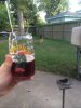 ImageUploadedByHome Brew1408665143.292116.jpg