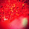 ImageUploadedByHome Brew1409401554.186740.jpg