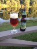 ImageUploadedByHome Brew1409784488.225103.jpg