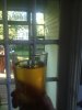 ImageUploadedByHome Brew1410129936.999453.jpg